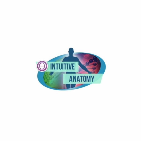 人體直觀 Intuitive Anatomy